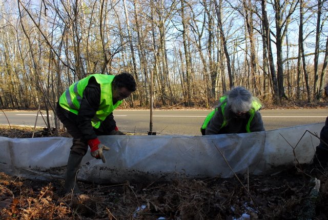 2009 Crapaudrome de Guiperreux 02